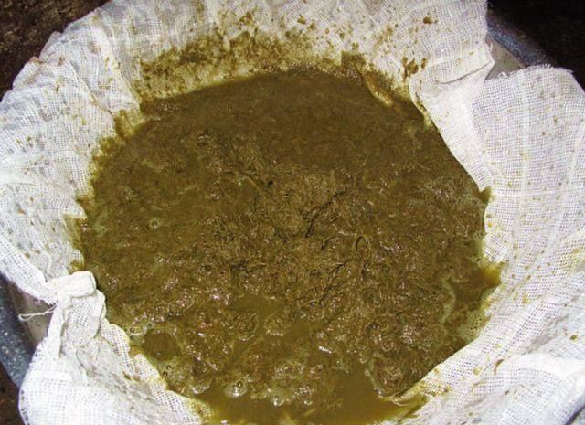 如何优雅地喝史上最恶心的美味——广西羊瘪汤?