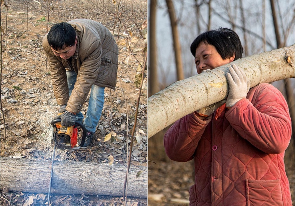 大妈日扛树段万斤,男人病了还有我!