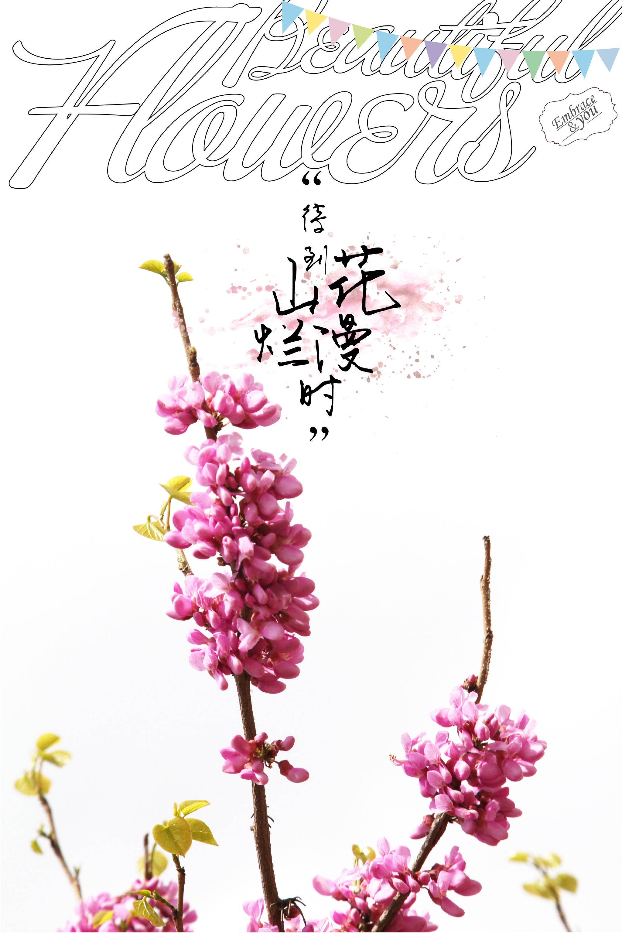 待到山花烂漫时._新浪看点