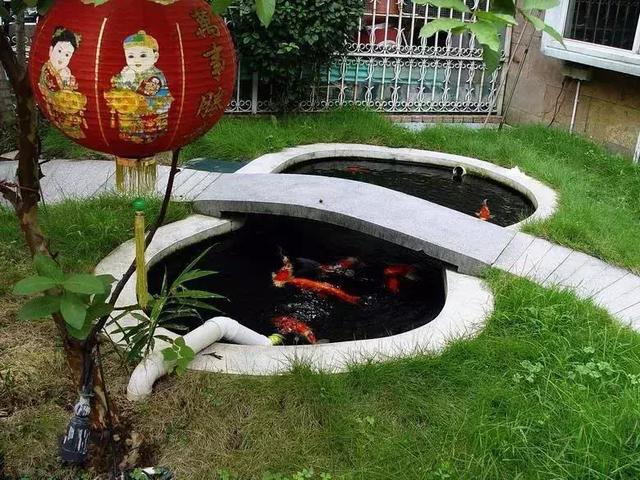 土豪聚集区,池美鱼多!这些鱼池居然集中在一个小区!