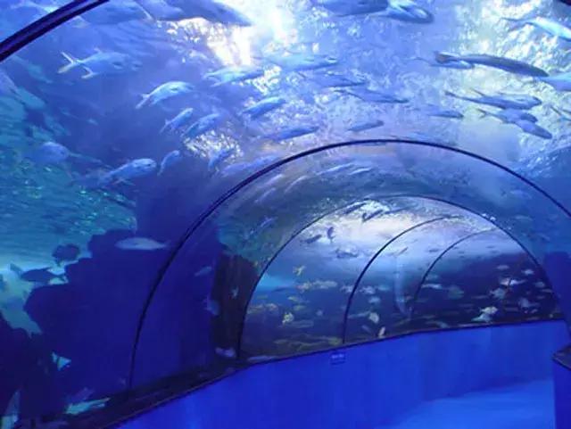 夏季避暑旅游好去处——烟台|蓬莱|蓬莱阁|烟台_新浪新闻