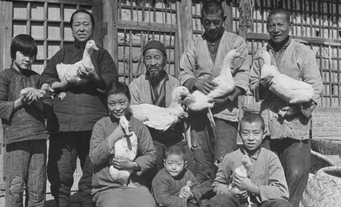 民国时期的全聚德烤鸭比现在便宜吗网友现在加收15