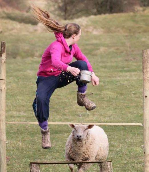 女孩教绵羊做这样高难度的动作,女孩含泪说出实情后人们低下了头