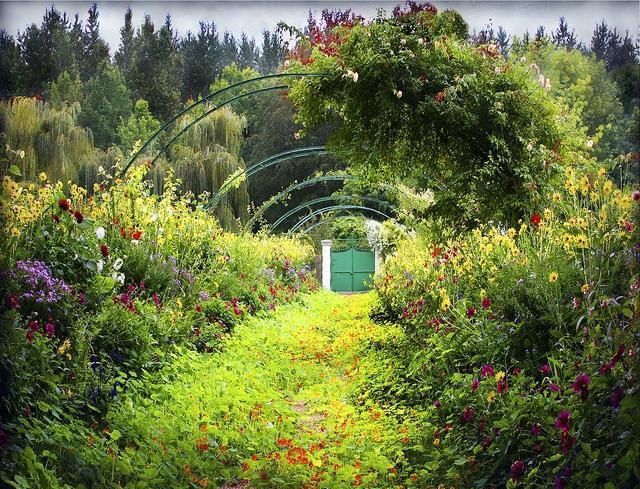 monetsgarden莫奈的花园