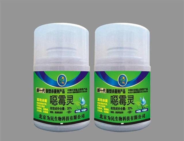 怎么给多肉消毒,太阳暴晒就好|微波炉|消毒|杀菌_新浪新闻