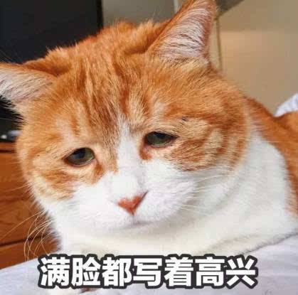 一切准备就绪,趁着天色不错,网友便开始了给猫咪的剃毛大计,看猫咪的