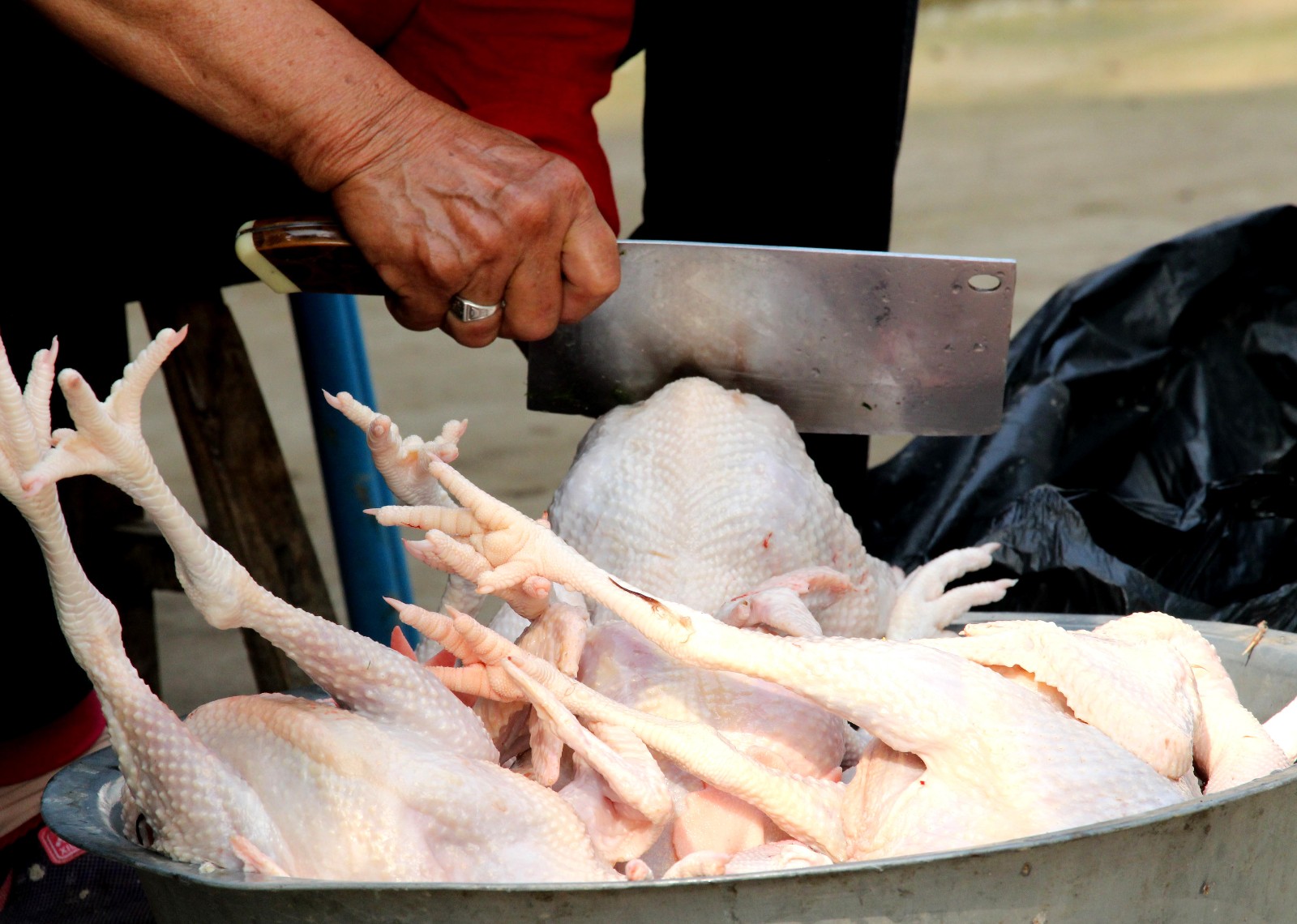 母亲街头买6只鸡全杀掉 背后故事让人流泪|母亲|小鸡|包咸_新浪新闻