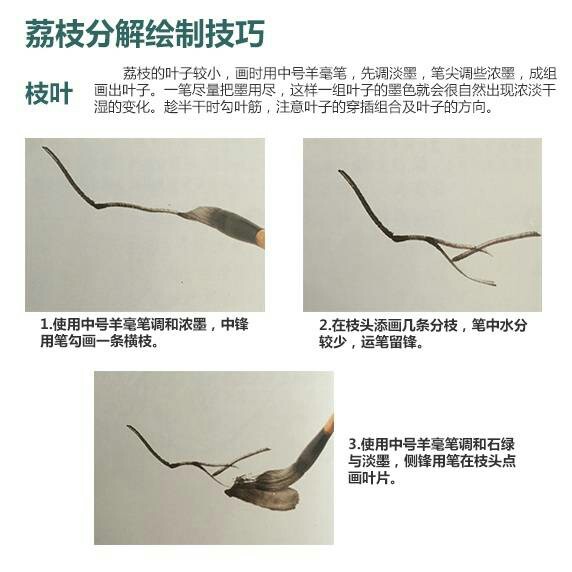 写意果蔬荔枝