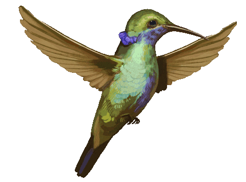 480_355gif 动态图 动图