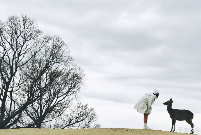 邓伦和李沁都发了一条微博,配图亮了,网友:你们