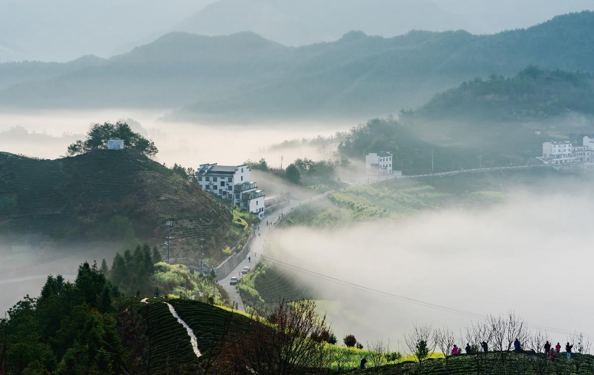 安徽绩溪赏油菜花的必去地梅干岭清晨云雾缭绕婉如仙境一般