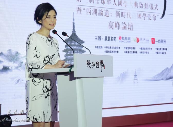 1996年许戈辉从央视辞职后转入凤凰后,主持过《名人面对面》,《公益