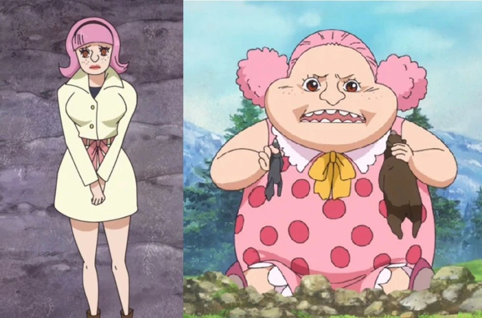 海贼王836:四皇大妈的父母样貌曝光,竟然是普通人类!