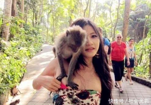 峨眉山的猴子爱耍流氓女游客太恐怖了再也不敢穿裙子去了