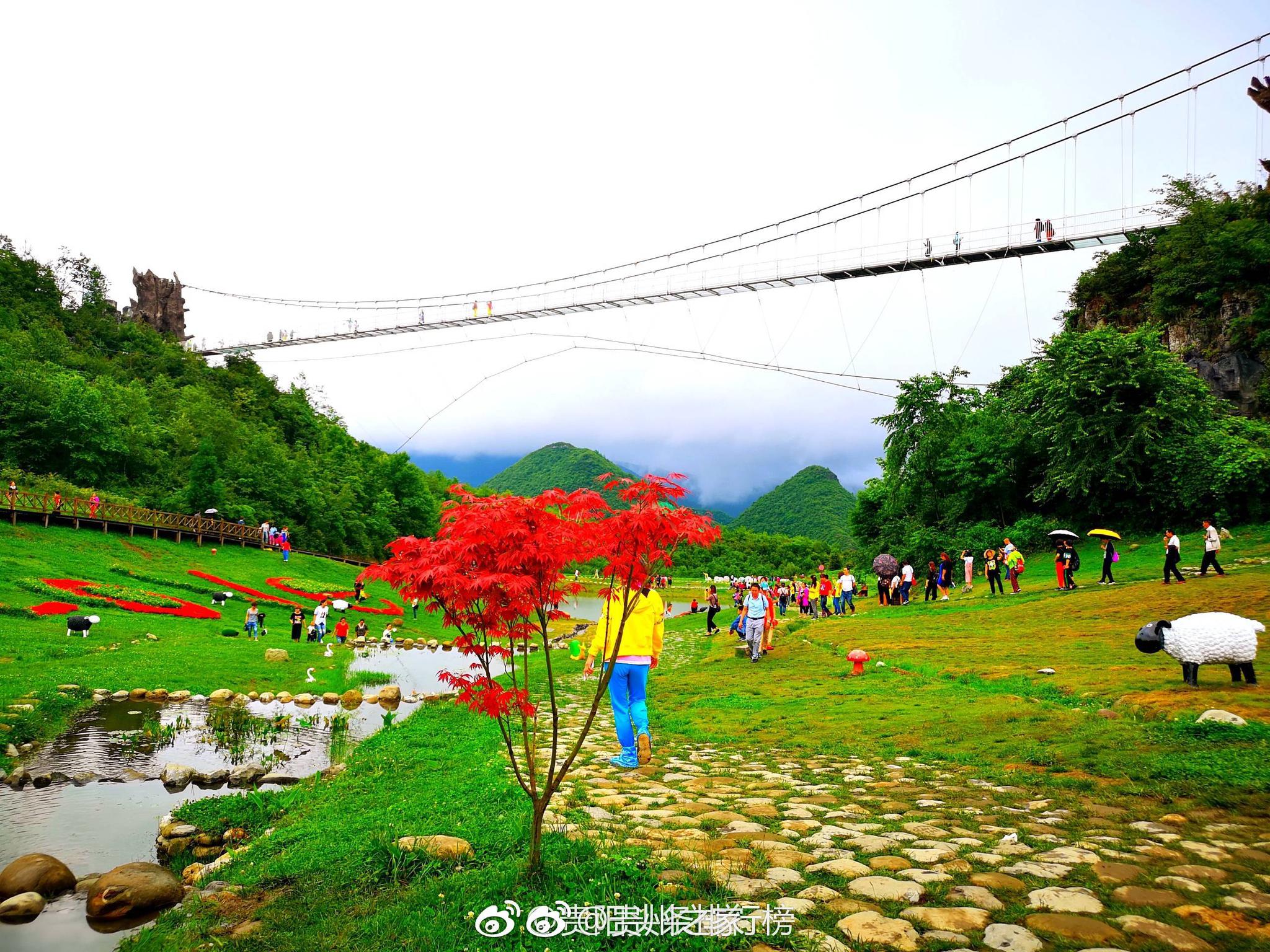来贵州旅游,这个地方正是好时节,万亩花谷,粉绿相间,夏天好去处