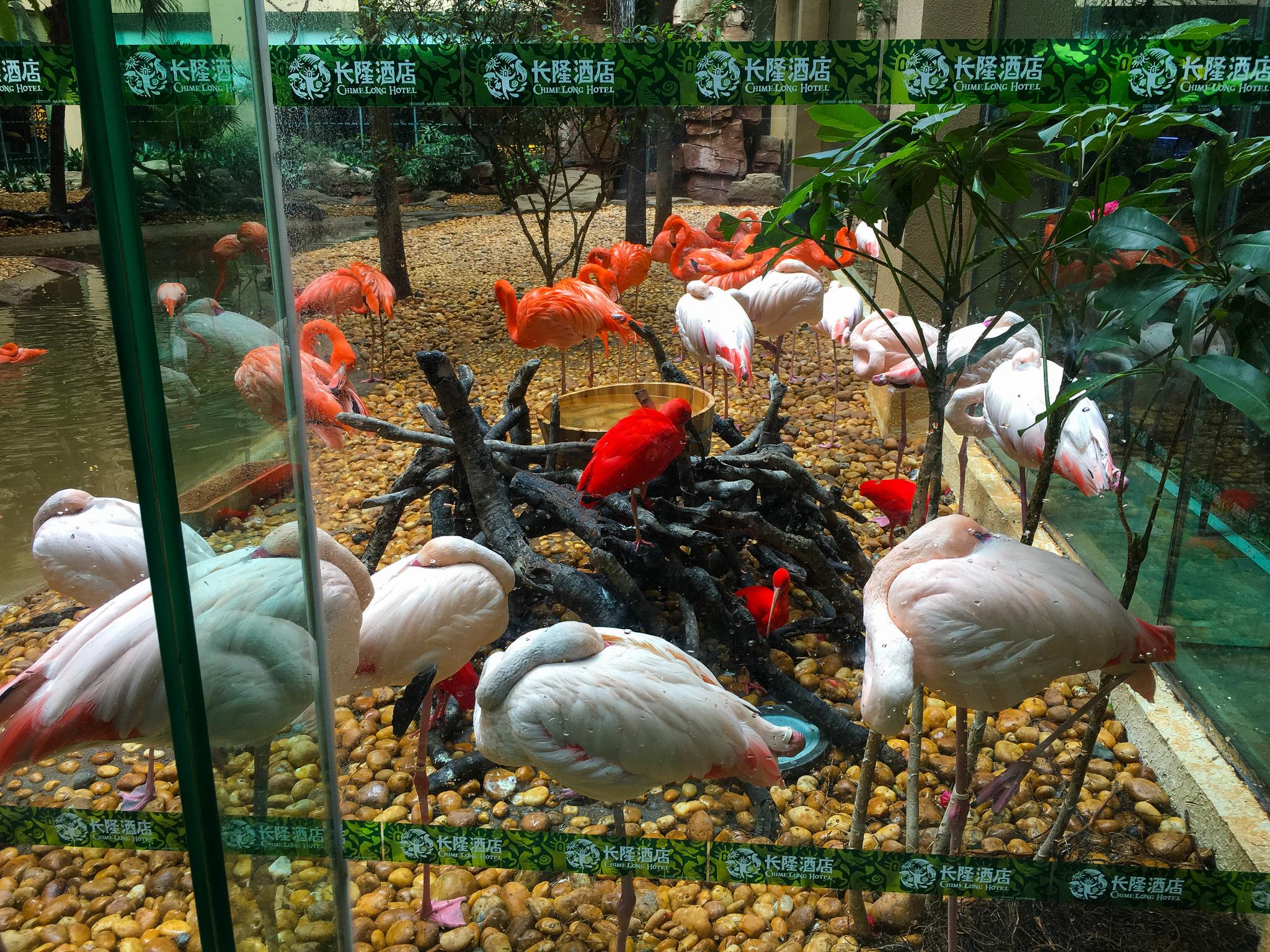 专治"坏孩子"的动物主题餐厅 再顽皮的孩也会爱上吃饭