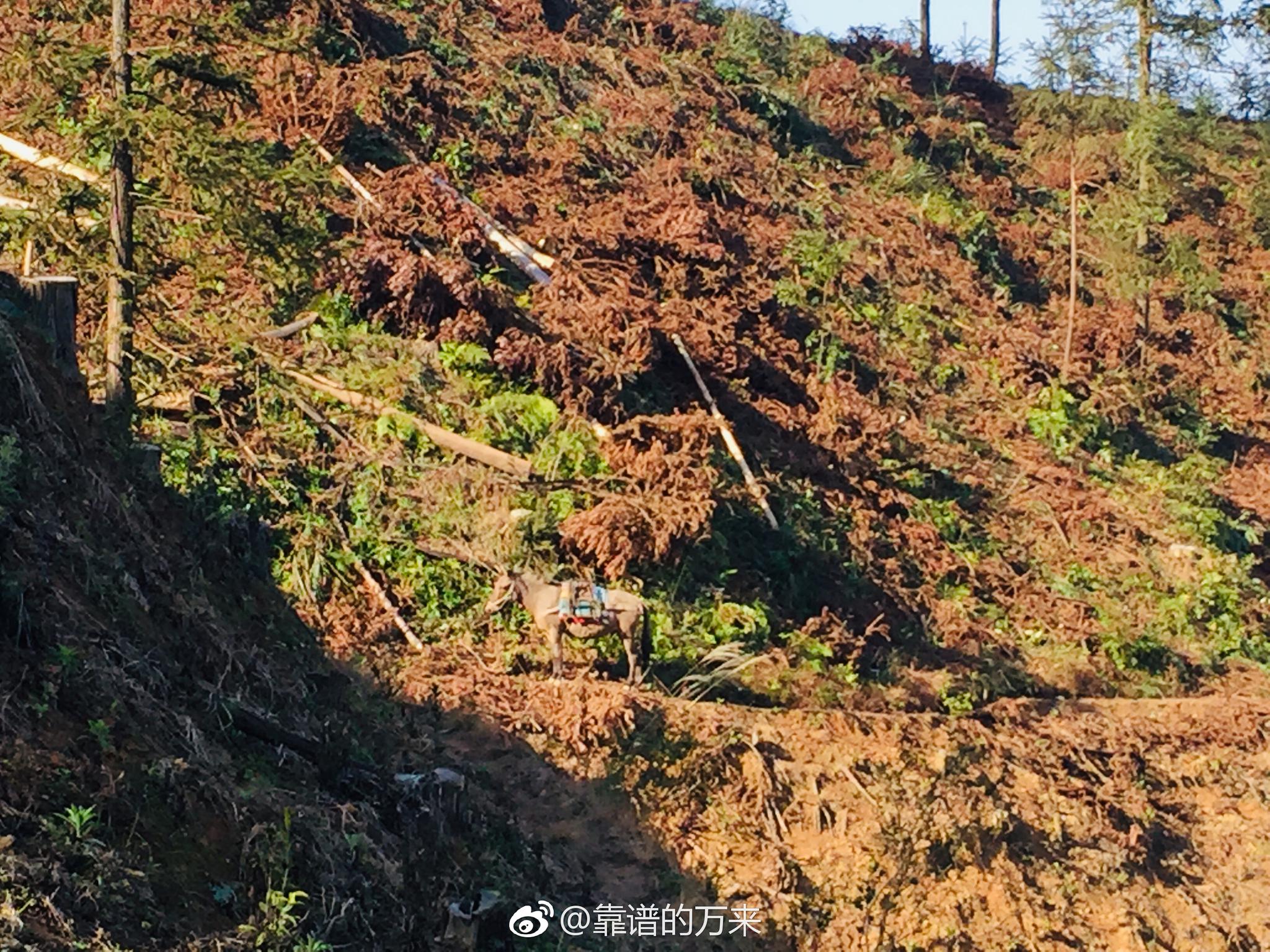热门致富门路100条视频在线观看(热门致富门路100条视频在线观看免费)