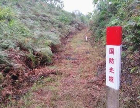 为什么国防光缆路由上很少长草呢?