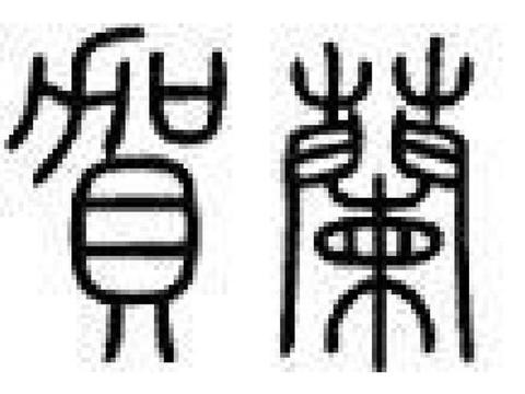 中国最好听的7个复姓,每个的祖先都是贵族,有此姓氏名字很好起|姓氏|复姓|贺兰_新浪新闻
