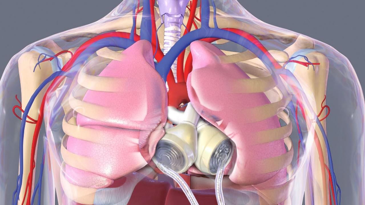 人的心脏一生到底要运输多少血液?