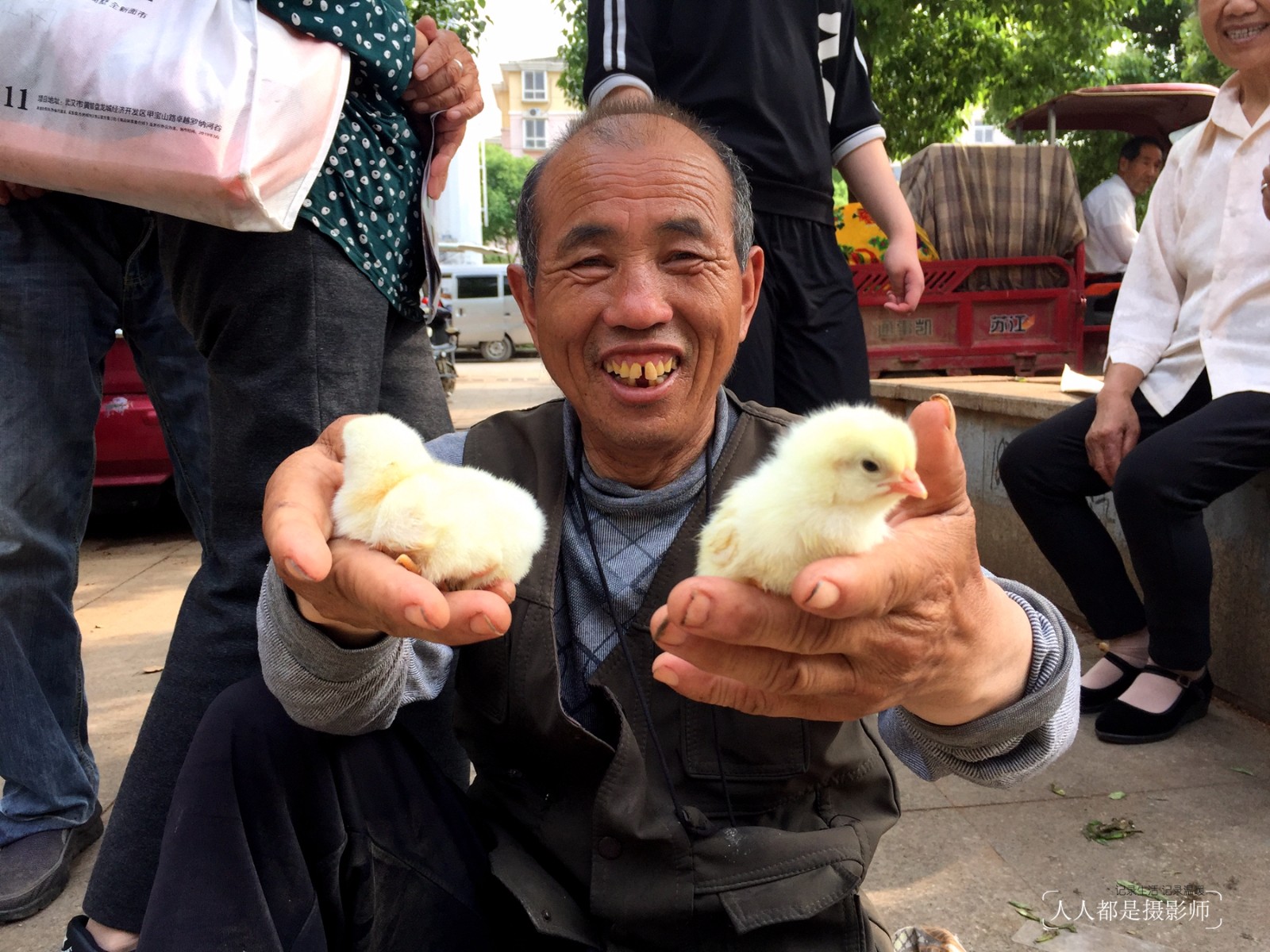 市黄陂区盘龙城的一个小区门口,来自黄陂农村的李大爷,正在售卖小鸡娃
