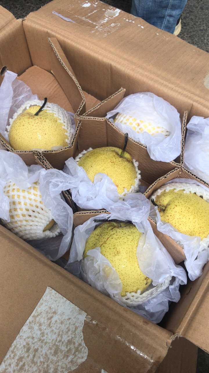 梨农求助:五万箱雪花梨滞销 一箱40斤只卖30元