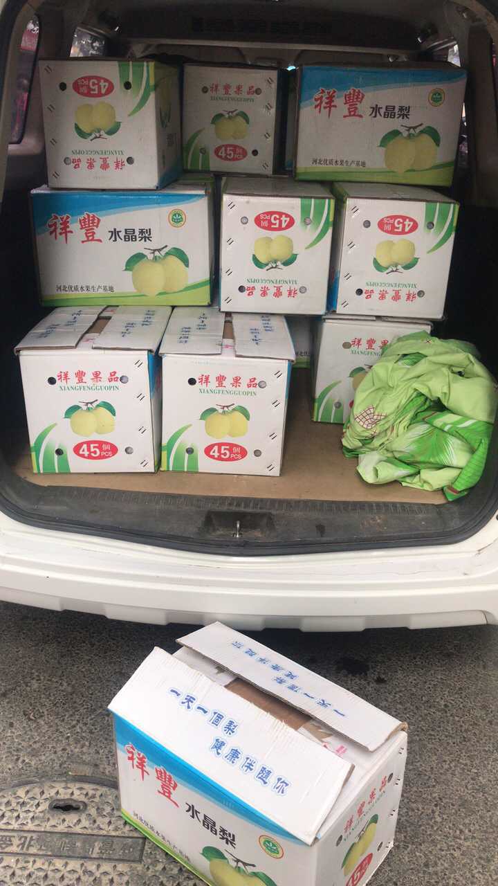 梨农求助:五万箱雪花梨滞销 一箱40斤只卖30元
