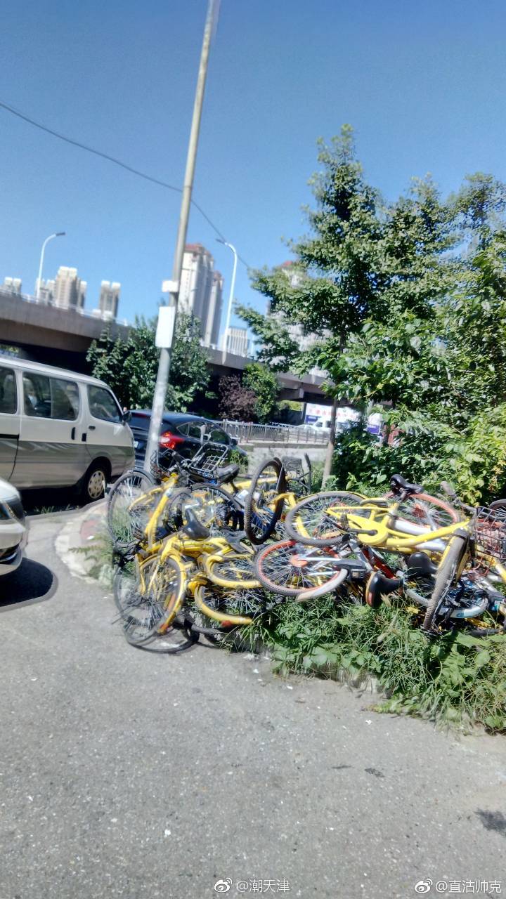 这是在河东区秋实园小区后门(消防通道)的共享单车,破坏了绿地