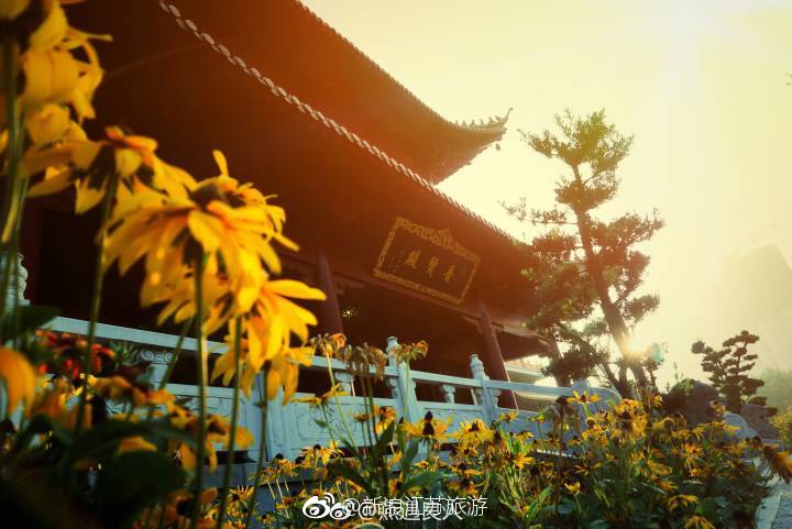 清晨,漫步南通普贤寺