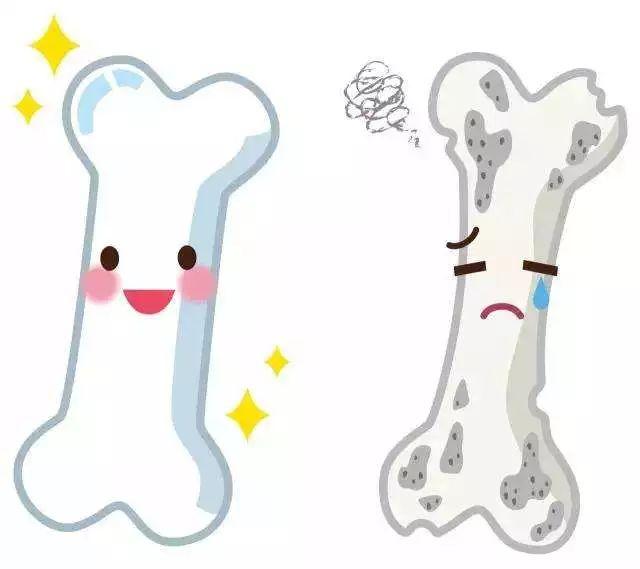 维生素k2的主要功能是可促进成骨细胞,抑制破骨细胞的作用,可治疗骨质