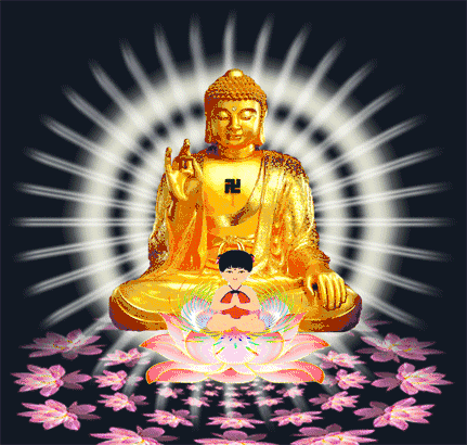 431_410gif 动态图 动图