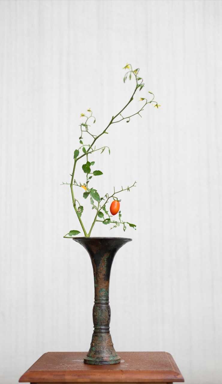 应有海棠,犹记插花人 投稿|@君熹华道