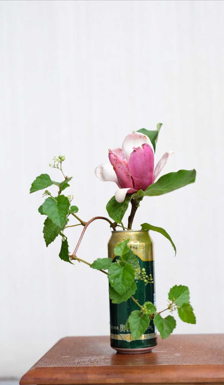 应有海棠,犹记插花人 投稿|@君熹华道