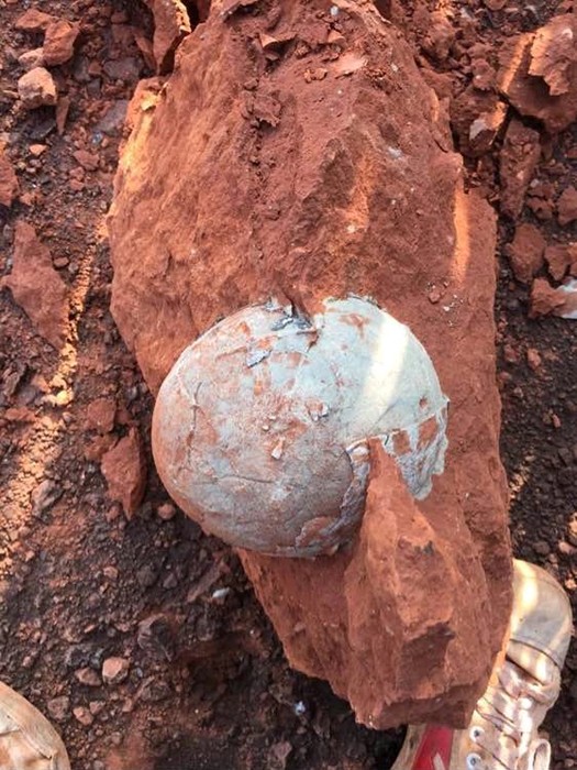 恐龙蛋内部你见过吗蛋清如同水晶