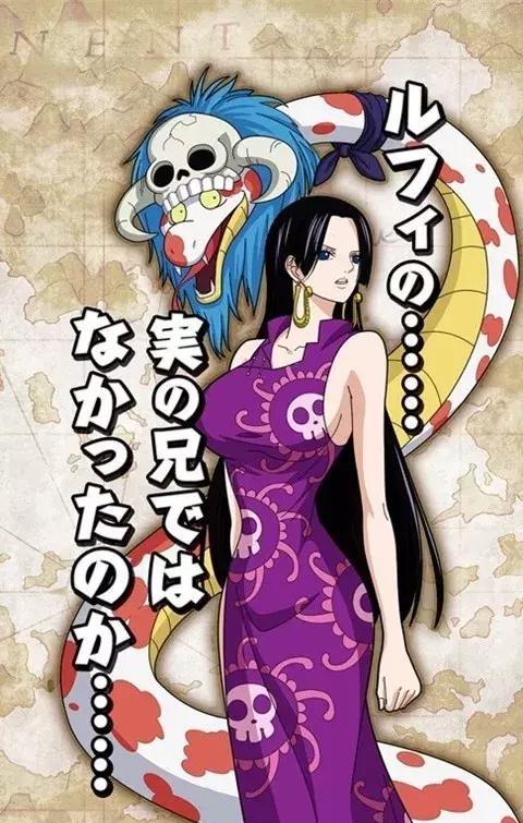 海贼王|女帝|手办_新浪新闻