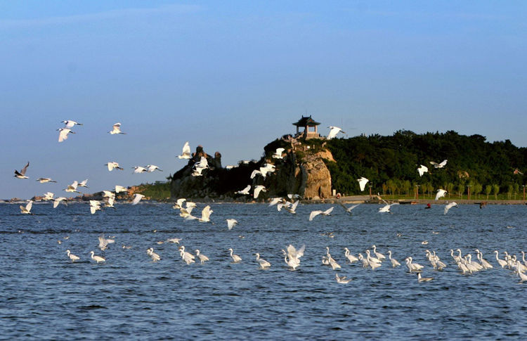 北戴河著名的24个景点图片