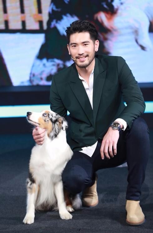 《战斗吧萌犬》热播 "真,燃,萌"是这档节目的最大看点