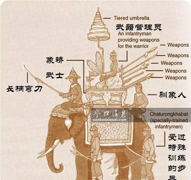 古代战争怎么打败800头战象?700骑兵足矣|罗马|迦太基|骑兵_新浪新闻