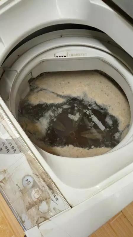 为啥家里洗衣机用不长?只用不洗早晚得坏!自制一桶水