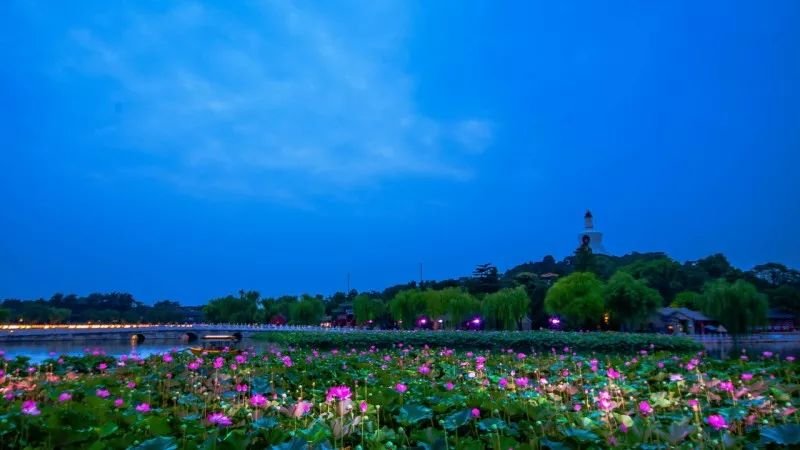 北京最惊艳的时刻到了最美的夏天就在这些地方太美啦