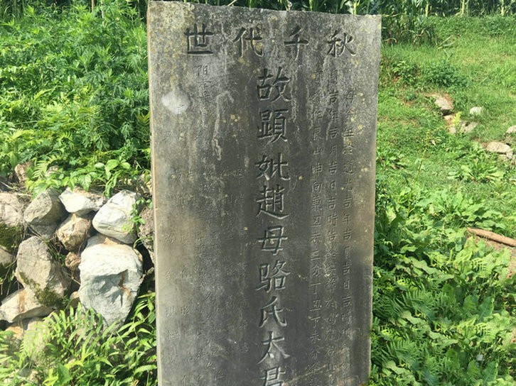贵州鸡冠山龙头飞昂星顶巑岩,霸气之龙结窝穴,赵氏为何不出大贵