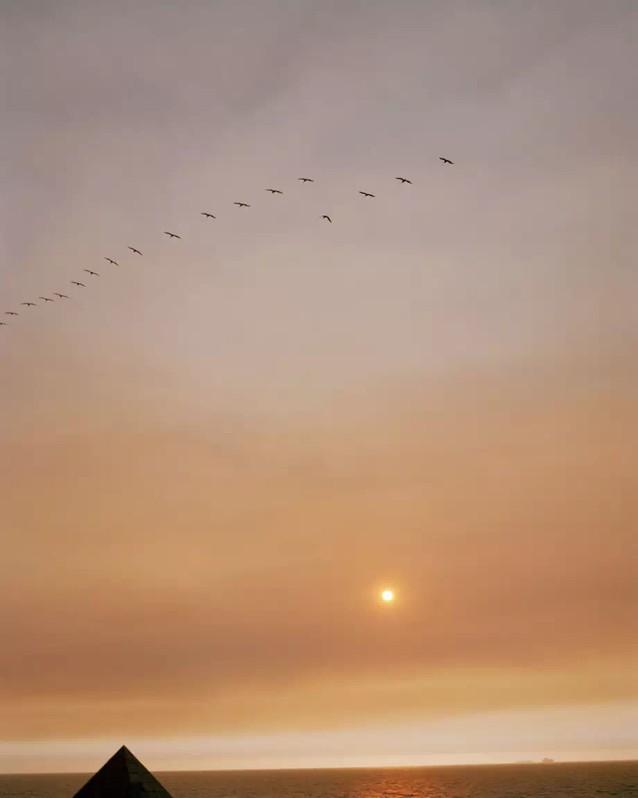 近期曝光的,重庆五小区是快餐还是什么?深入探讨其真实功能与社区定位