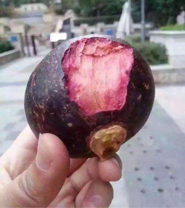 盛产水果的热带,半年也只产一次,价格也是真真的贵啊,第一次吃山竹,就