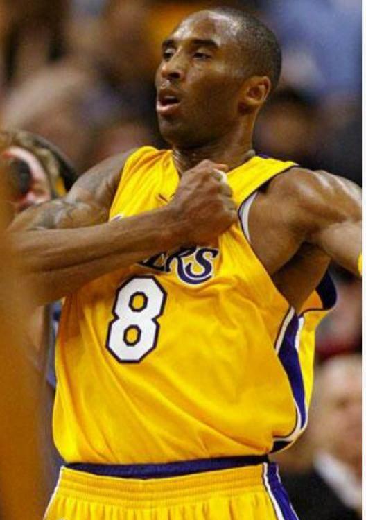 科比, 再见, 我们的青春