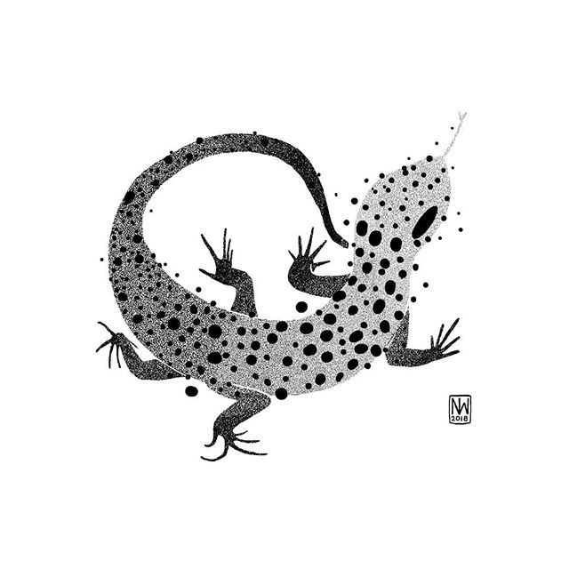 6767  有意思的黑白小圆点动物插画676767 6767 67