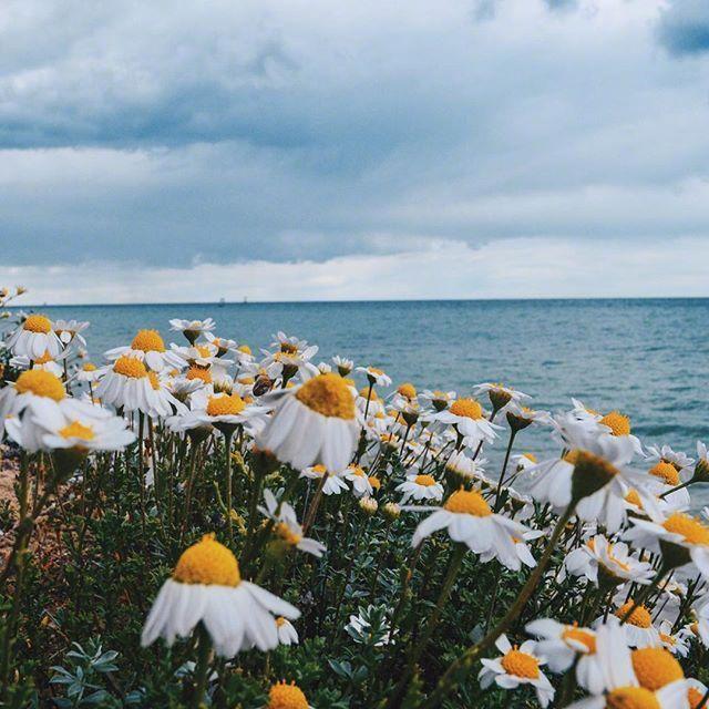 描写心情的唯美句子,美到让人心醉,朋友圈必备!