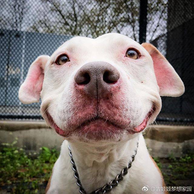 每天微笑着迎接阳光,就是最美好的开心得开始啊