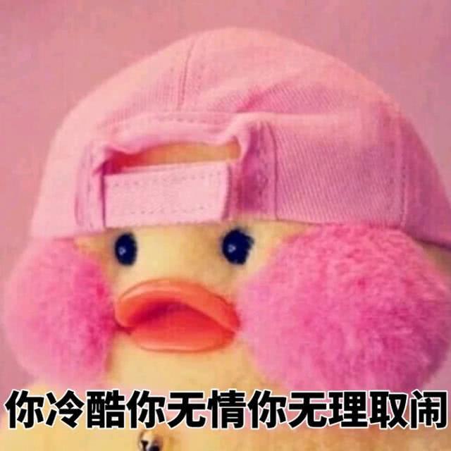 玻尿酸鸭表情包今天也是精致的鸭鸭
