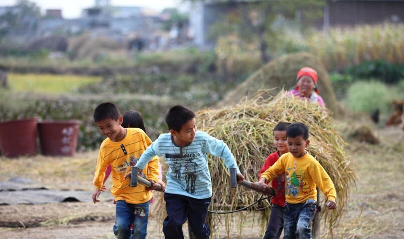 农村孩子心酸的暑期生活, 想起了80,90后小时候的我们