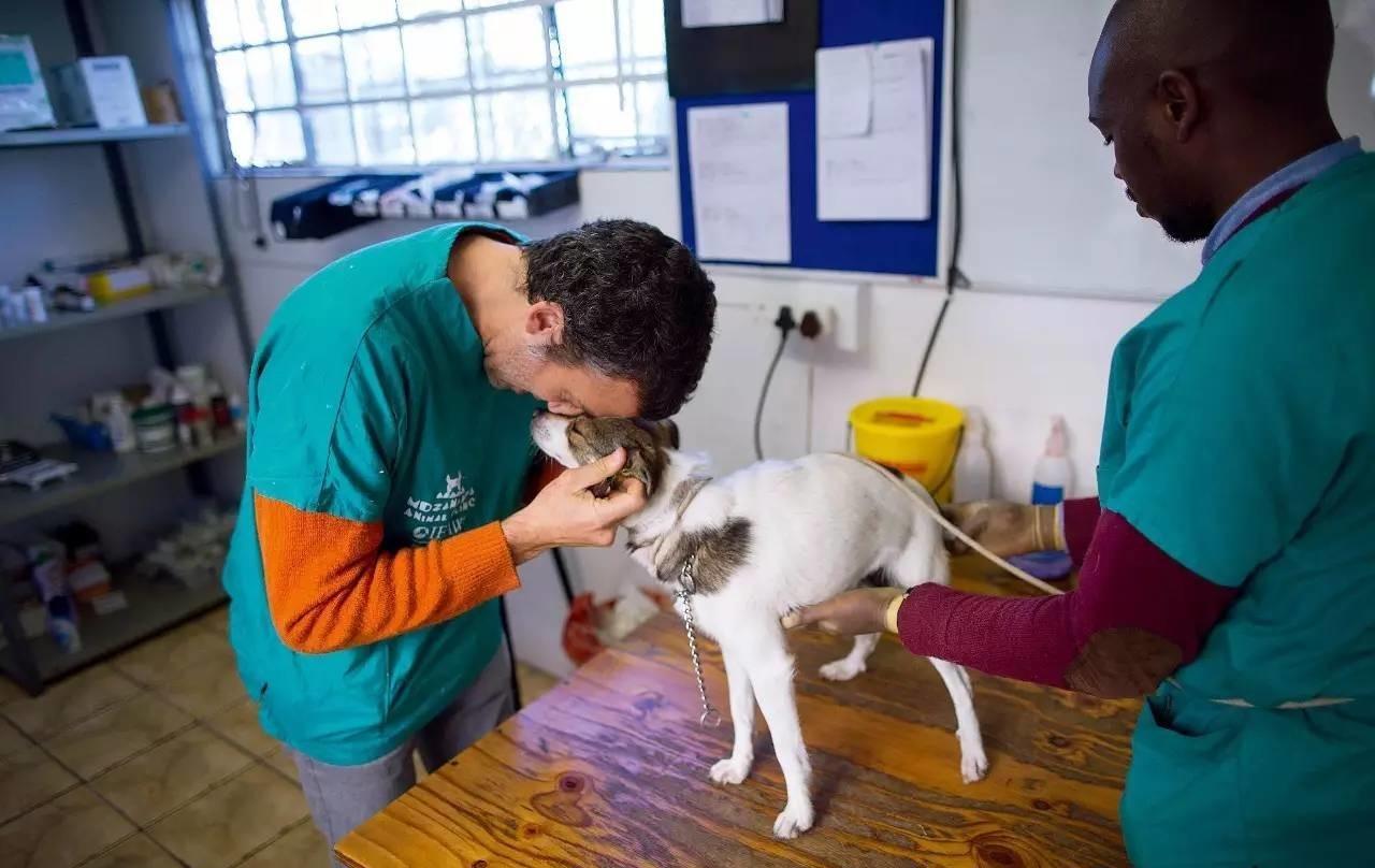 南非战后流浪动物救助站, 猫狗吃喝不愁